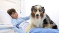 Dog therapy, llonely and sick child lying in hospital bed is cheered by the happiness of the dog