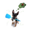 Dog with ticks and fleas Royalty Free Stock Photo