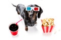 Dog to the movies