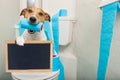 Dog on toilet seat Royalty Free Stock Photo