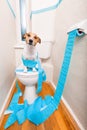 Dog on toilet seat Royalty Free Stock Photo