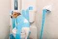 Dog on toilet seat and paper rolls Royalty Free Stock Photo