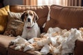 dog tore gnawed sofa in the apartment generative ai