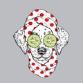 A dog in a towel and with cucumber on his face. Vector illustration. Beauty and spa treatments. Fashion & Style. Dalmatian.