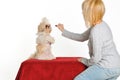 Dog Trainer Royalty Free Stock Photo