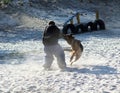 Dog trainer in k9 bite suit in action. Training class on the playground for a german shepherd dog. Dog`s attacking