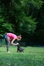 Dog trainer luring young black labrador retriever puppy with a food Royalty Free Stock Photo