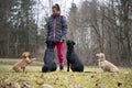 Dog trainer or owner with her four dogs standing outside in nature and training Royalty Free Stock Photo