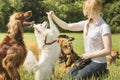 Dog trainer teaching dogs Royalty Free Stock Photo