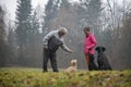 Dog trainer teaching a senior man to train his dog obedience Royalty Free Stock Photo