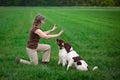 Dog training dogs are looking up obeying their owner