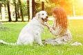 Dog training. Girl with retriever playing in the park. Woman walking a pet on a background summer The landscape. Joyful summer sc