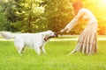 Dog training. Girl with retriever playing in the park. Woman walking a pet on a background summer The landscape. Joyful summer sc