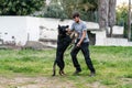 Dog training with his owner. German shepherd puppy