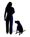 Dog training (obedience) Royalty Free Stock Photo