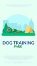 Dog training park. Banner with agility sport equipment. Vector flat. Royalty Free Stock Photo