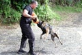 dog training for police work