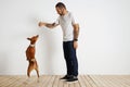 Dog training process at home Royalty Free Stock Photo