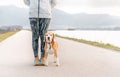 Dog training process after the morning jogging Royalty Free Stock Photo