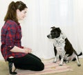 Dog Training Wait for Treat Royalty Free Stock Photo