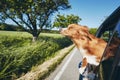 Dog travel by car Royalty Free Stock Photo