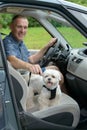 Dog traveling in a car Royalty Free Stock Photo