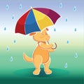 Dog under umbrella - rain Royalty Free Stock Photo