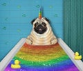 Dog unicorn takes a colored bath 2