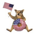 Dog with usa donut and flag