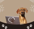 Dog using laptop computer isolated over beige background. Trend illustration collage Royalty Free Stock Photo