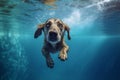dog pool vacation swimming fun snorkeling funny puppy water underwater. Generative AI. Royalty Free Stock Photo
