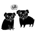 Dog vector breed cute pet animal bulldog french french bulldog