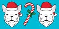 Dog vector french bulldog Christmas Santa Claus icon logo winter Holiday cartoon illustration