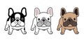 Dog vector french bulldog icon cartoon character puppy breed logo illustration