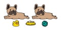 Dog vector french bulldog icon character cartoon puppy bone food bowl ball rubber duck breed logo illustration doodle