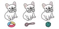 Dog vector french bulldog icon character cartoon puppy bone food bowl toy breed logo illustration doodle Royalty Free Stock Photo