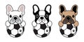 Dog vector french bulldog soccer icon logo cartoon football fifa illustration symbol