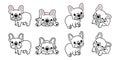 Dog vector french bulldog logo icon cartoon character illustration symbol white