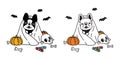 Dog vector french bulldog pumpkin Halloween icon character cartoon ghost spooky bone bat candy logo symbol doodle illustration des Royalty Free Stock Photo