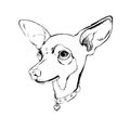 Dog vector funny little home eared background