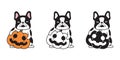 dog vector halloween french bulldog pumpkin head icon jack o lantern puppy logo symbol pet cartoon character illustration doodle Royalty Free Stock Photo