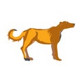 Dog vector illustration Royalty Free Stock Photo