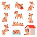 Dog vector little doggie puppy animal character playing or sleeping illustration animalistic doggy set of small doggish