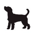 Dog vector silhouette, Parson Russell Terrier. Side view