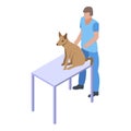 Dog at veterinary table icon, isometric style Royalty Free Stock Photo