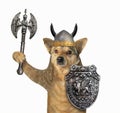 Dog viking in helmet with horns Royalty Free Stock Photo