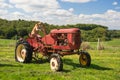 Dog on Vintage red tractor in landscape Royalty Free Stock Photo