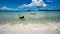 Dog wades in shallow water on a tropical Island