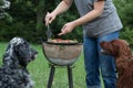 Dog waiting for the barbecue, waiting for lunch Royalty Free Stock Photo