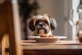 Dog waiting food plate. Generate Ai Royalty Free Stock Photo